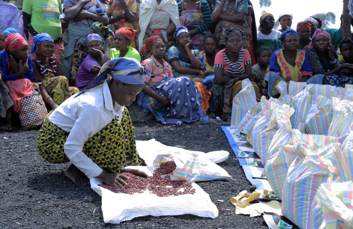 Distribution of agriculture kits, North Kivu Province, Goma